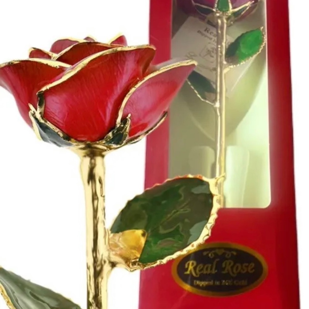 Real Rose Dipped in Gold, Valentines Day Love Roses Red New